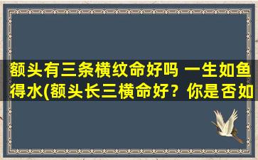 额头有三条横纹命好吗 一生如鱼得水(额头长三横命好？你是否如鱼得水？看看命理解析！)